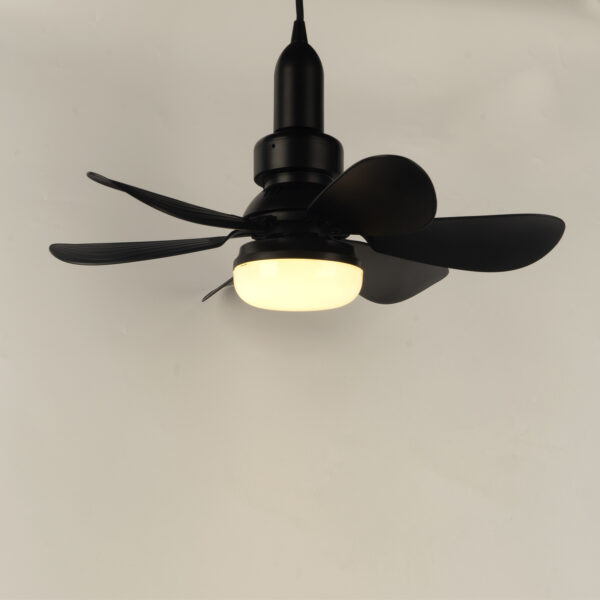 Ceiling Fan Light