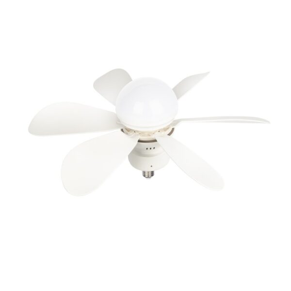 Ceiling Fan Light