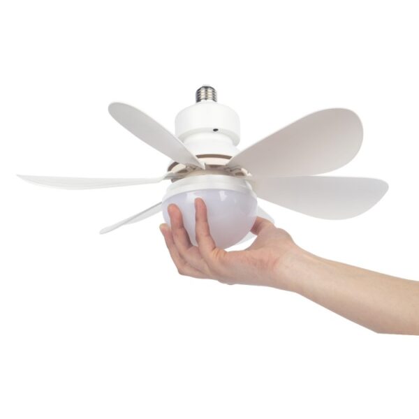 Ceiling Fan Light