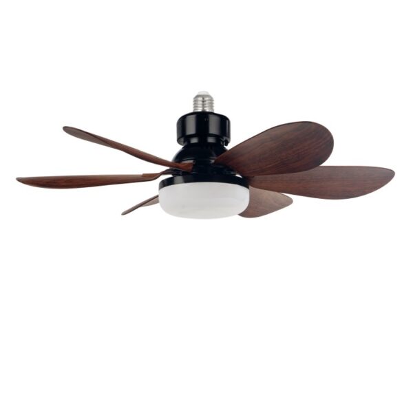 Ceiling Fan Light