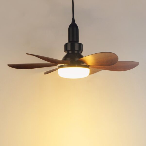 Ceiling Fan Light